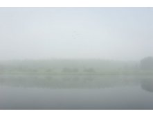 11.08.2009 22:21:06