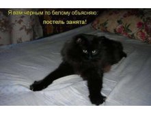 27.02.2013 18:54:15