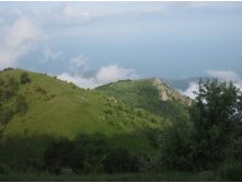 IMG_3489.JPG