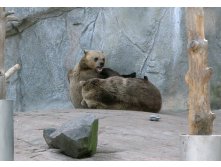 23 подраться - просто обязательно!