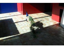 29 здесь рыбы нет!!!