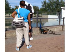 31 и совсем я не клянчу! так.. на морских котиков смотрю..