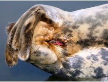 38 немного эротики