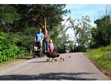 47 люди.. а что люди! мы их не обидим - пусть проходят!