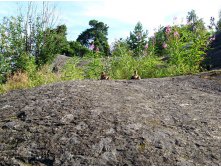 48 мы одни с тобой в целом мире...