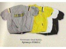 Копия 20985511.jpg