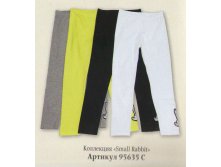 Копия 20985538.jpg