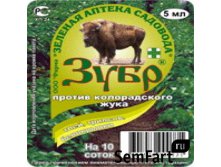 зубр