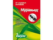 муравьед