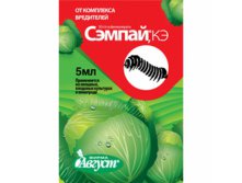 семпай