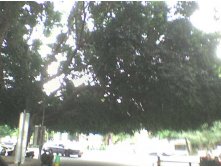 05.11.2010 0:56:09
