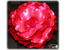 IMG_1547.jpg