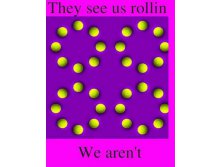 397241_281988178528531_103616833032334_801490_803818577_n.jpg