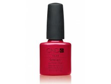 Shellac CND,  Hollywood (   )  