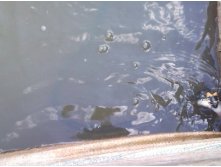 09.09.2009 8:18:23