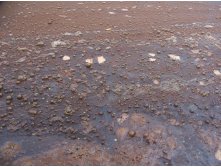 отличная водичка