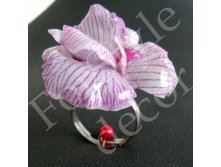 ring_orchid_2.jpg