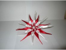 getImage (7).jpg