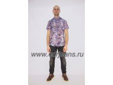 хлопок