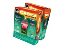 294003_	  " "_ 343 +%