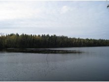 04.10.2009 20:53:01