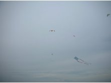 DSCN5745.JPG