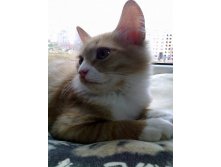 20.11.2010 12:24:33
