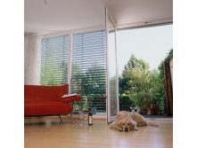 09-03-Jalousien-Wohnzimmer-und-Hund.jpg