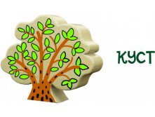 куст 150р. 205х160