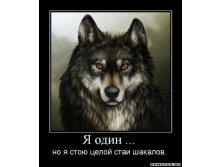 0_36fdc_9fb9acee_XL.jpeg
