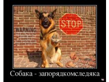 1361263471_634116_sobakazaporyadkomsledyaka_demotivators_ru.jpg