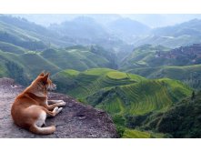 indifference_39.jpg