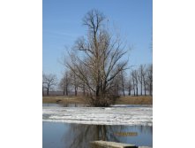 IMG_0455.JPG