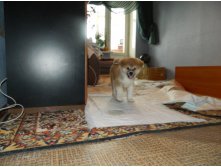 DSCN1097.jpg