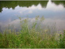 у воды.JPG