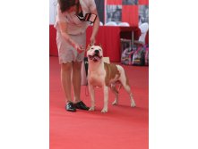 IMG_1085.jpg