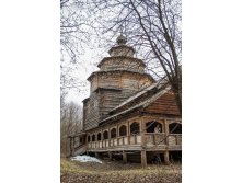IMG_7942.jpg