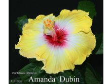 018 - Amanda Dubin.jpg