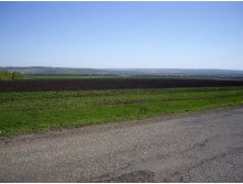 IMGP0002.JPG