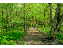 IMG_7974.png