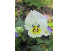 IMG_0717.JPG