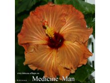 054 - Medicine Man.jpg