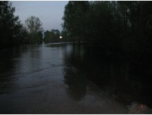 IMG_4442.JPG
