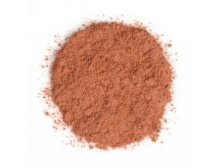 Terra Cotta Blush.jpg