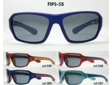 FIPS-58 - 950,00.jpg