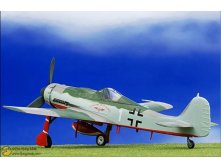 37261 FW190D 3.jpg