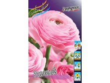 Ranunculus Pink 52,5.  10.jpg