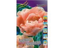 tulipa_apricot_angelique_1853ya._pp_10yaya.jpg