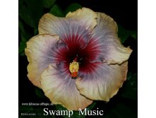 088 - Swamp Music.jpg