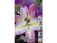 Lilium Color Essence 168,8.  10.jpg